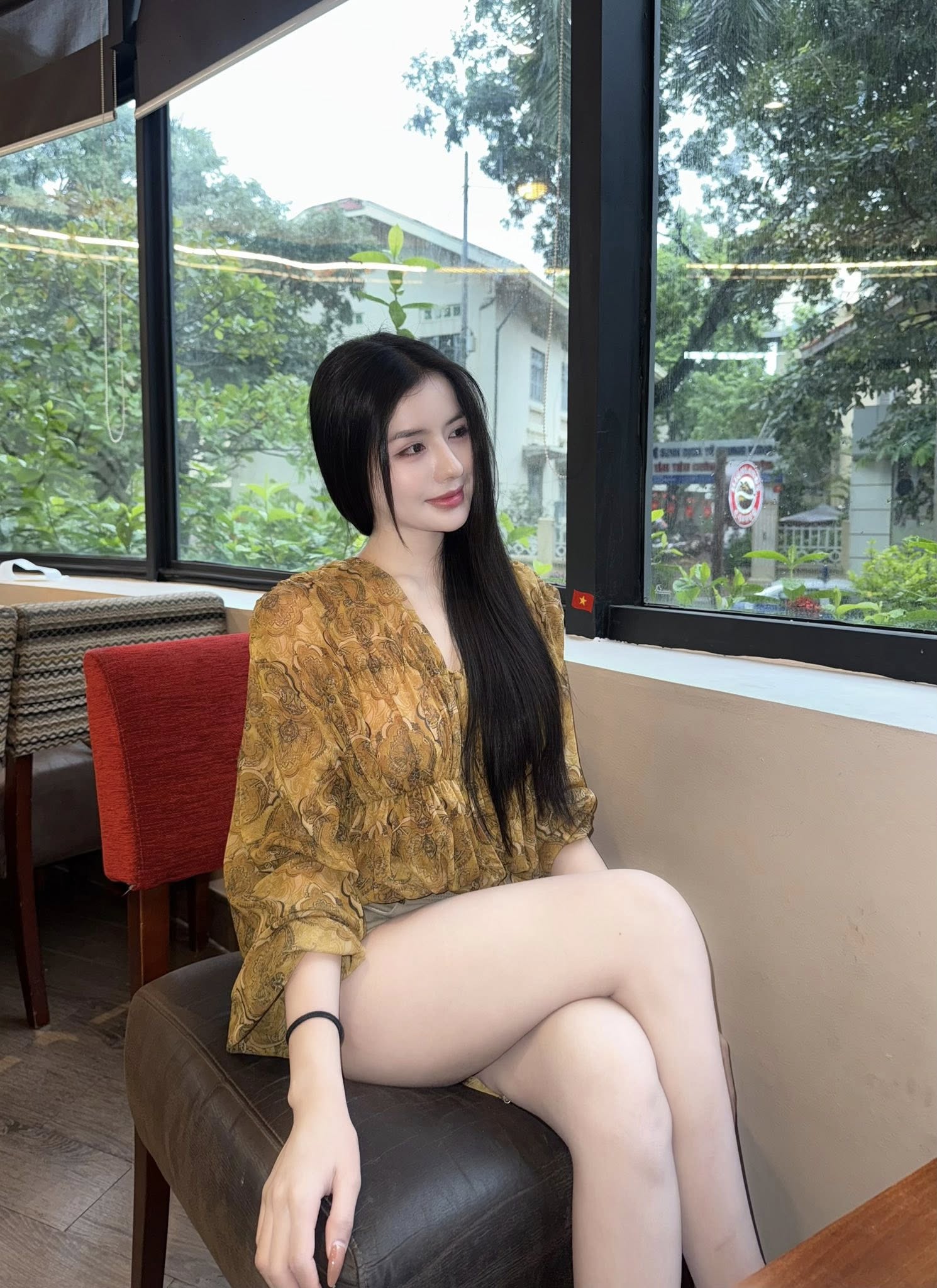 樱花树下的秘密